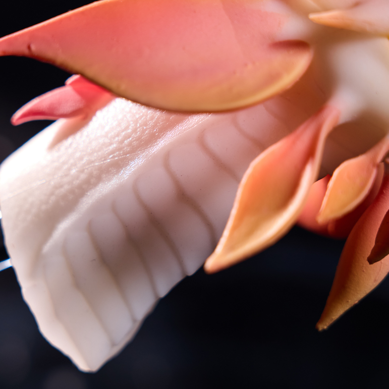 MSCFUN Mizara: 1kg Dragon Fox Fantasy Dragon Masturbator Furry Dragon Fleshlight Sex Toy